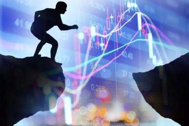 企业在应对移民执法压力的同时自身也沦为执法目标